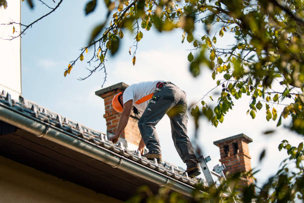 Best Roof Replacement Cost  in Pine Hills, CA