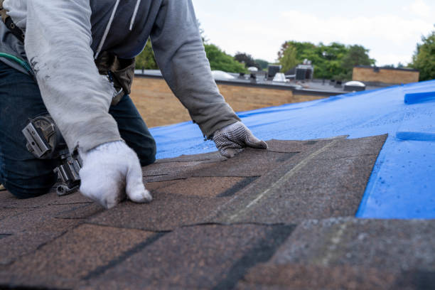 Quick and Trustworthy Emergency Roof Repair Services in Pine Hills, CA