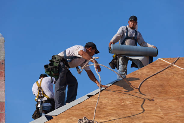 Roof Gutter Cleaning in Pine Hills, CA